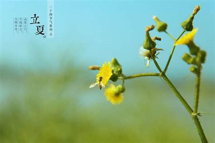 皖南过春节最佳去处