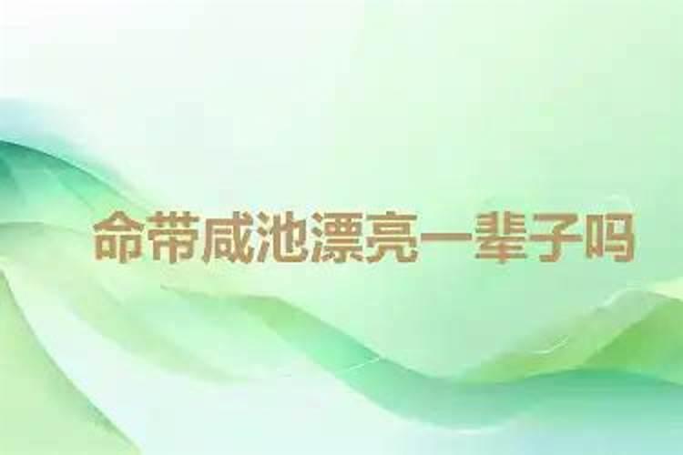 1987年12月15日5点女命八字算命