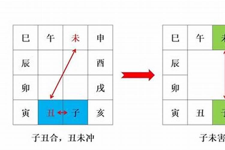 子与丑合,妻为丑星,子为媒人是什么意思？