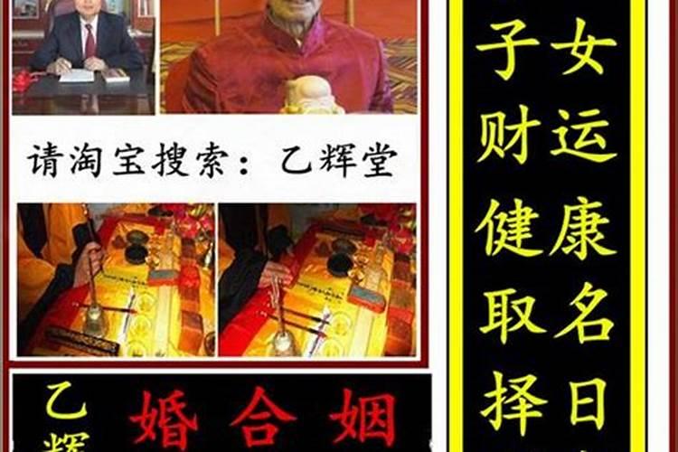 肉灵芝事件事件详情