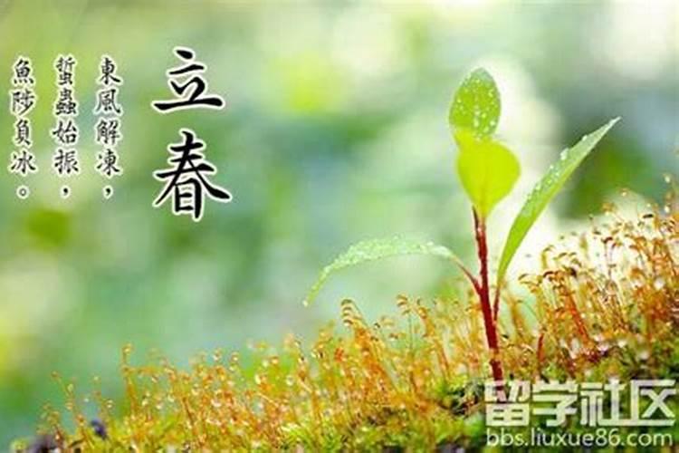 二十四节气立春的含义