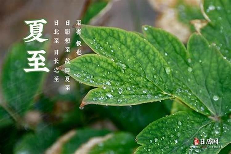 夏至是几月几号2024 夏至习俗来了