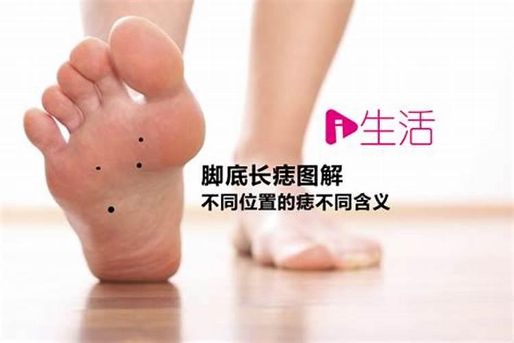 十二生肖运程2025年运势运程