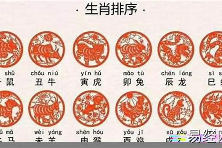 属蛇的人2019年的运程怎么样