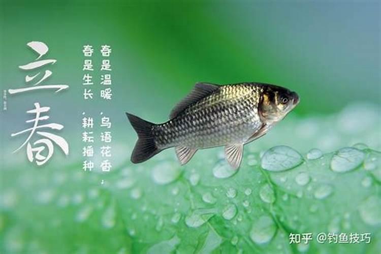 丑酉是什么关系
