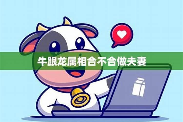 合婚姻:属牛和属龙的八字配不配 能做夫妻吗