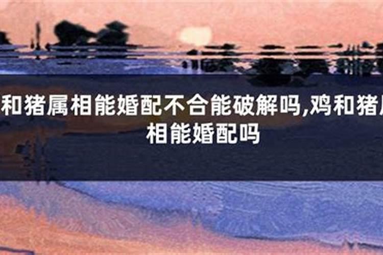 俩人属相不合能化解吗夫妻生肖相破怎么解决？