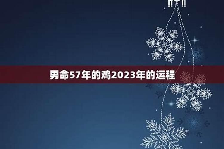 梦见爱人要和我结婚前夫回来