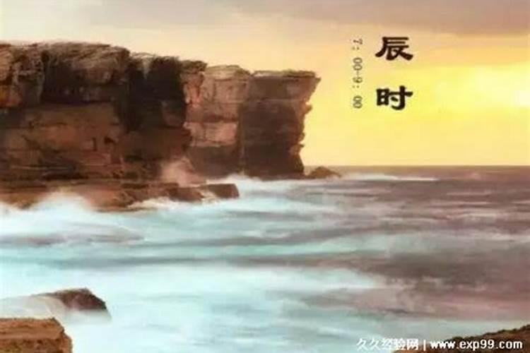 辰时出生的属鸡人命运如何(7:009:00)