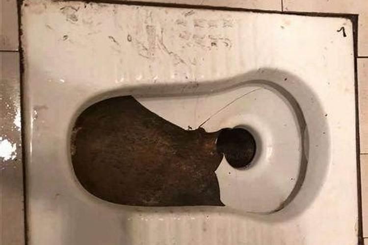 从八字看一个人适合靠什么发财？