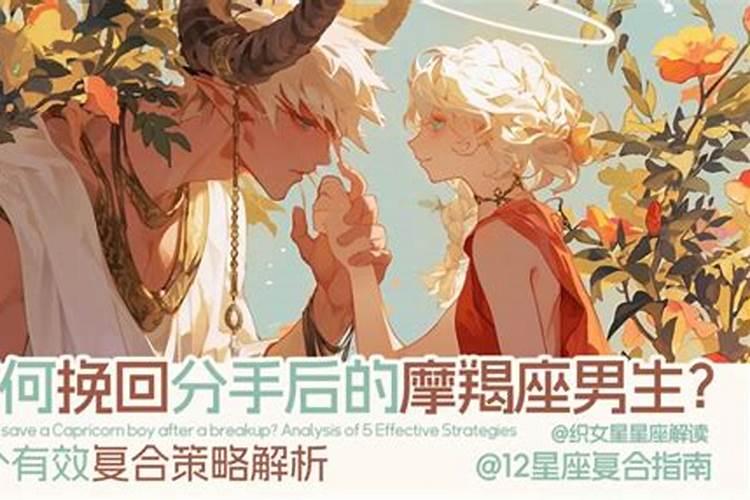鼠本命年的大忌是什么 属鼠人犯太岁如何化解