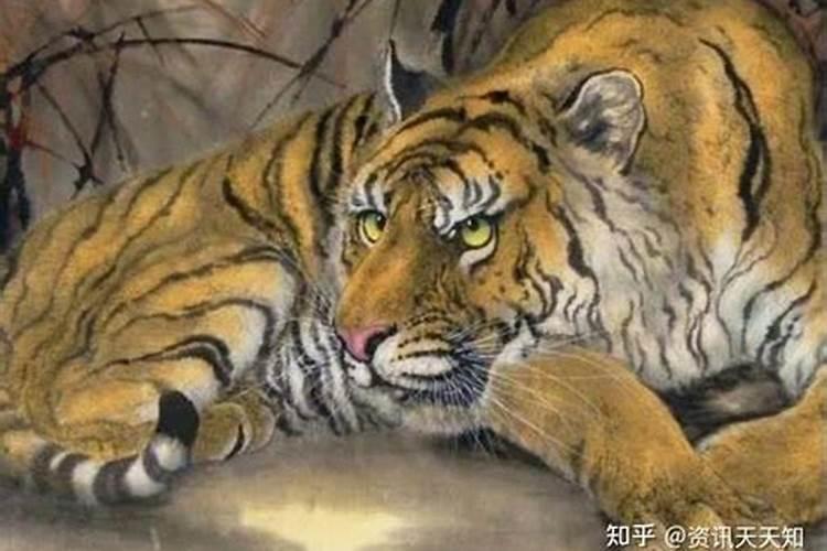 社区活动总结简短【5篇】