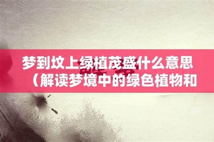 梦见坟林茂盛是什么意思