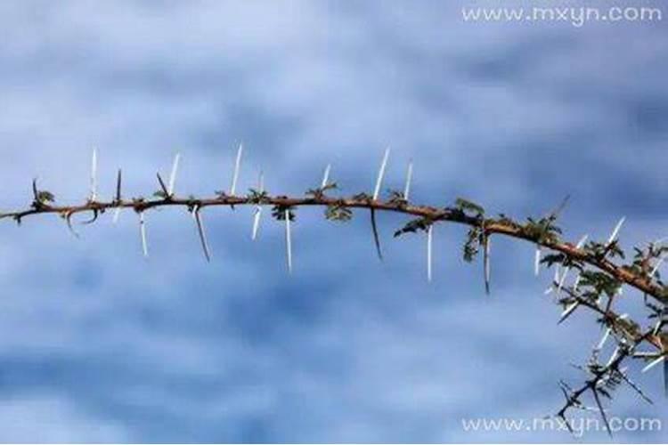 中元节烧包袱能天黑烧吗 中元节烧包袱能天黑烧讲究