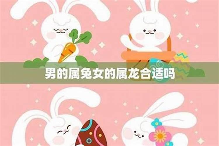 男属兔和女属鸡配婚姻怎么样,属鸡女属兔男相配吗