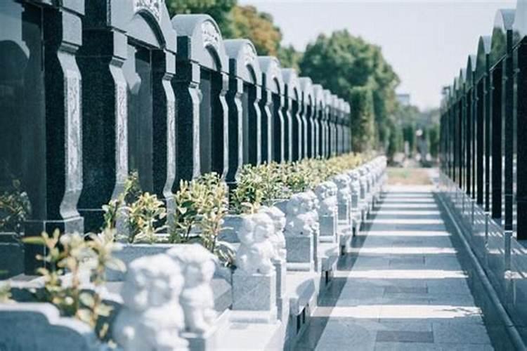 2025年清明扫墓哪天最好