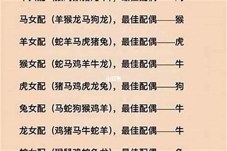 96年属鼠人注定的婚姻伴侣是哪些属相