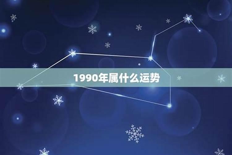 桐乡市民政局领导分工