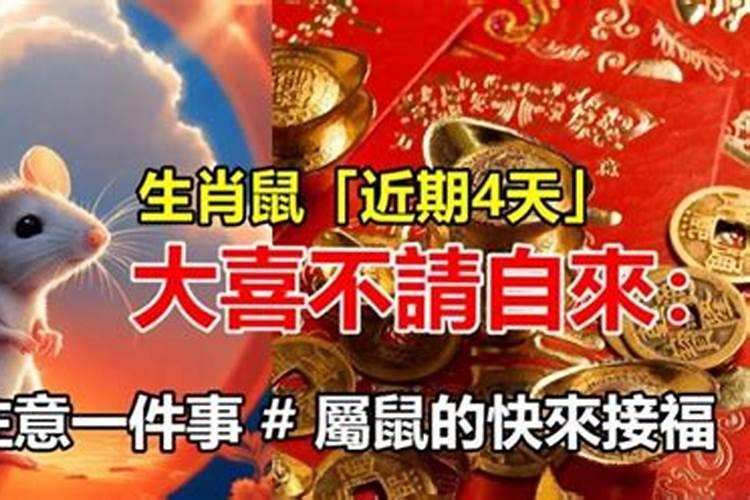 元宵节看灯会作文500字(通用5篇)