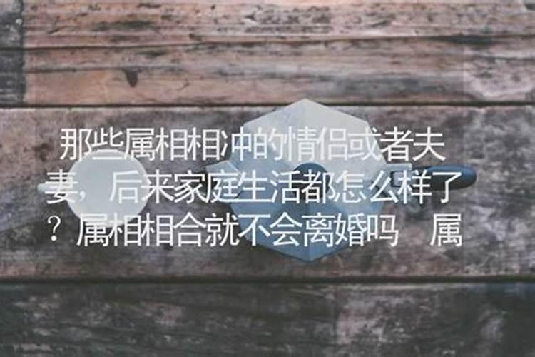 属羊男属蛇女离婚率高？