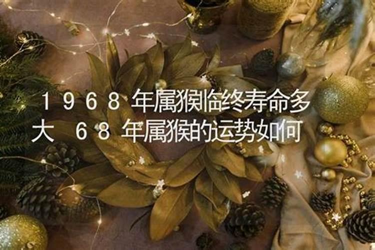 1968年的属猴人是什么运势