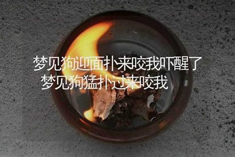 81年属鸡女2025年每月运势及运程详解