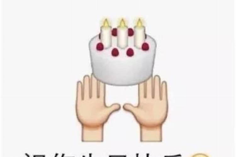 属狗的人养什么宠物最旺财