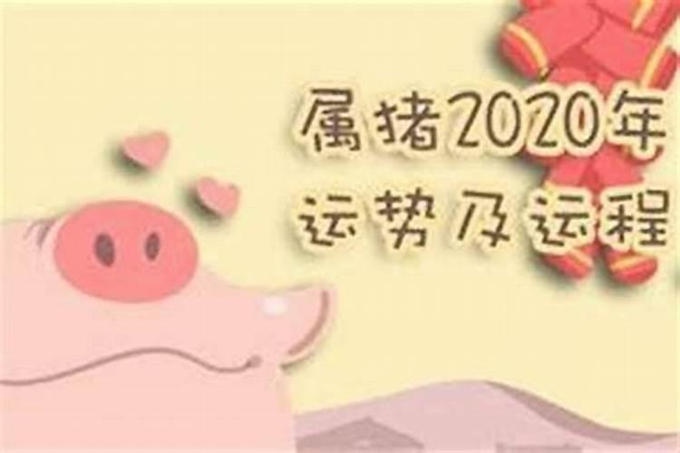 属猪人不同月份出生的命运都如何