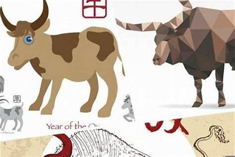 端午节的来历和风俗是什么