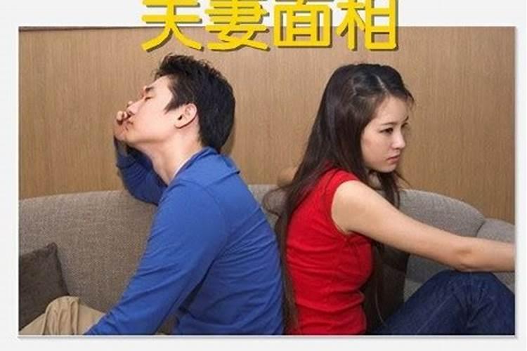 1984年属鼠的幸运色是什么色