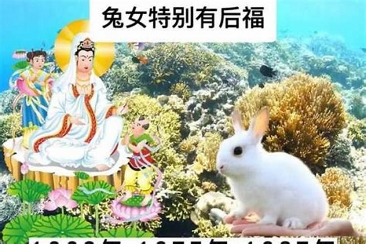 辛卯日柱人的命运解析？