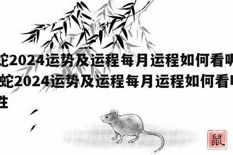 属鼠倒霉的时候如何转运