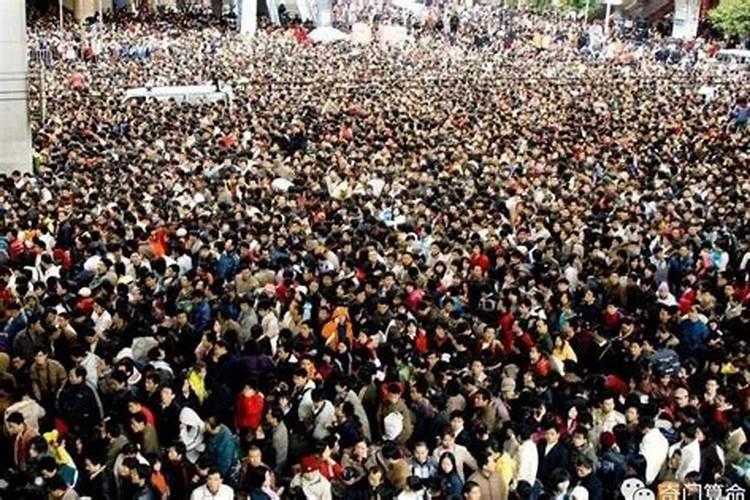 2025生肖蛇的运势大全 属蛇人2025年每月运势