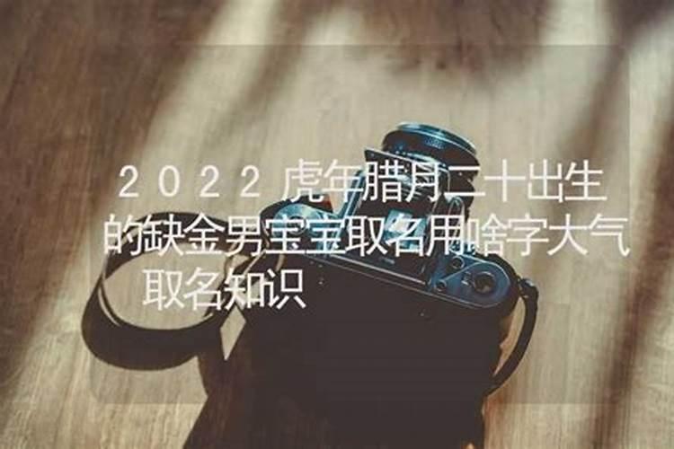 夏至几号到几号