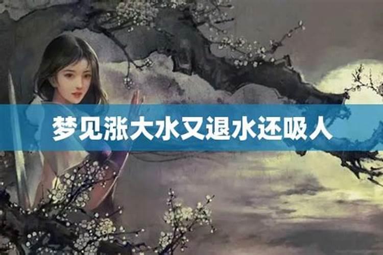 2025属猪人的运气和财运