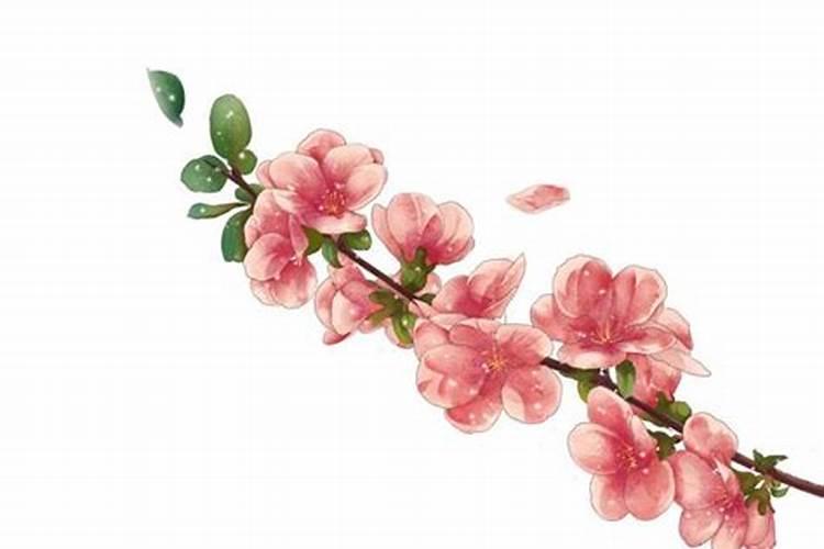 破解桃花劫最有效的方法 斩断烂桃花最灵的方法？