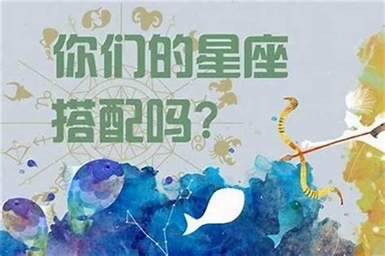 1989年的属蛇双鱼女和1986年的属虎射手座,适合结婚吗？八字合吗？