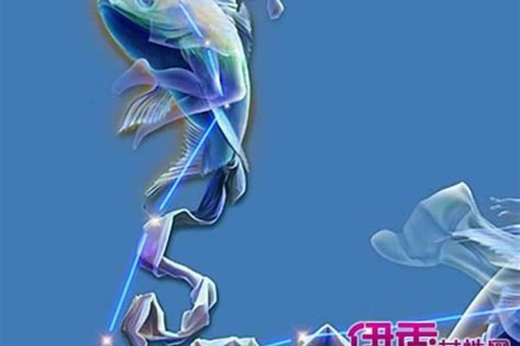 射手座和什么座最配对指数和射手座搭的星座