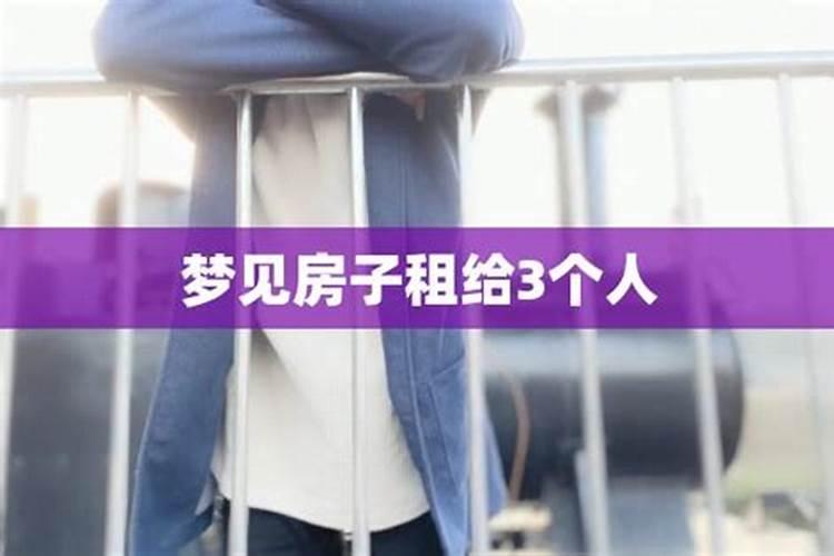 1969年属鸡的2025全年运势