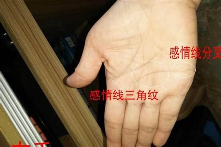 生肖羊1991年2025年运势如何 生肖羊1991年2025年全年运势