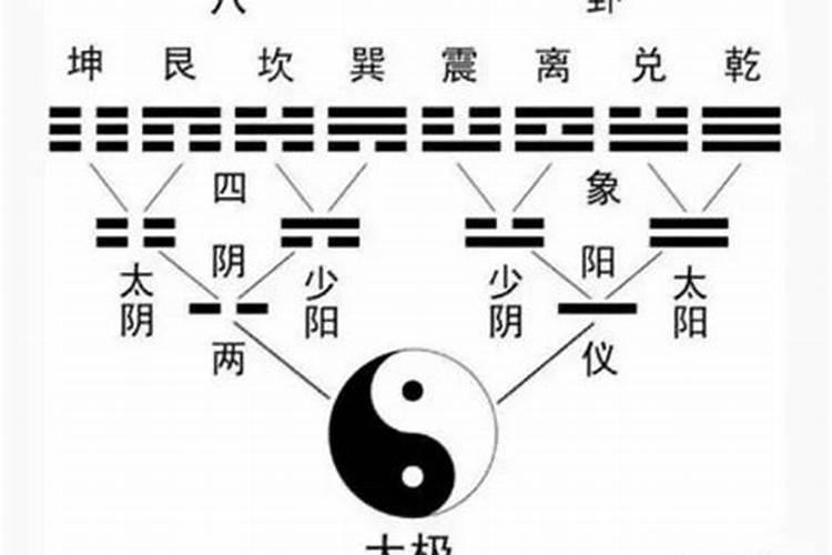 八字阳木和阴木是否成一对