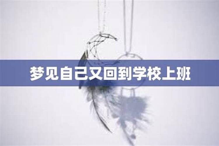 属猪人戴什么最好最旺财