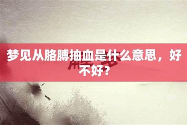 属猴2025年运势及运程每月运程