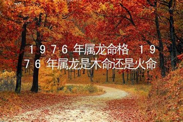 1953年6月生人是什么命