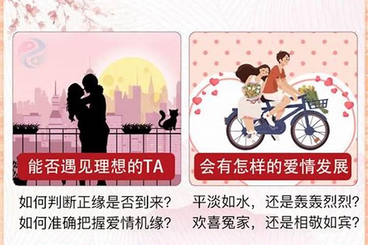 对付小人最狠一招君子