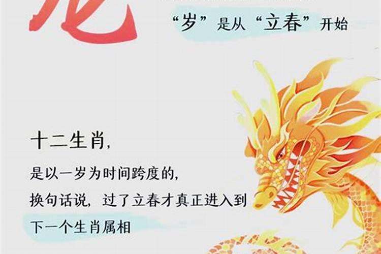春节的来历简介