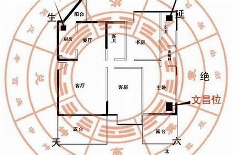 属猪的蛇年犯太岁吗