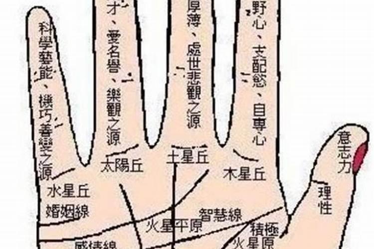 手掌看相详解如何看自己手相知命运？