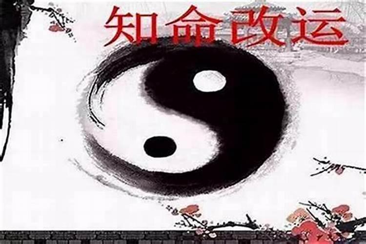 除夕的寓意和象征2024 除夕节的风俗有哪些