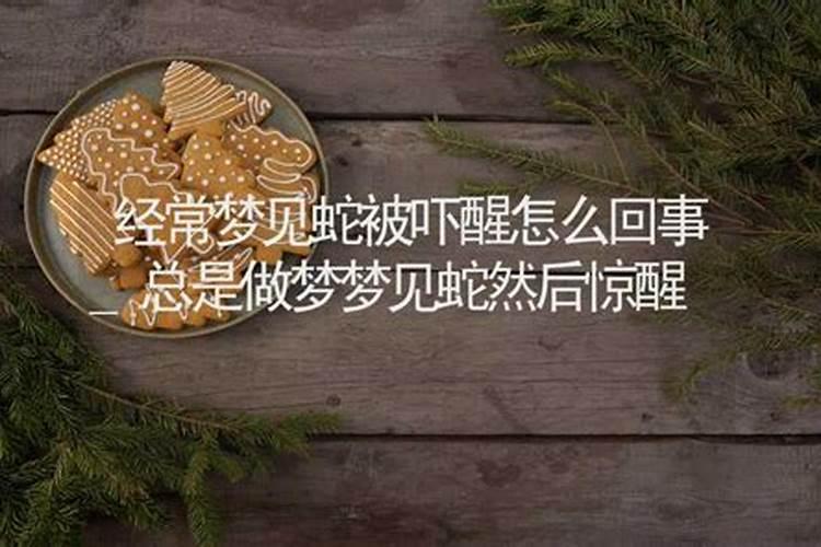 为什么总是梦见蛇 梦见蛇代表什么